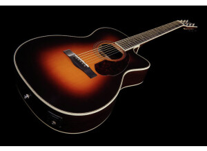 Fender PM-3 Deluxe Triple-0 (27)