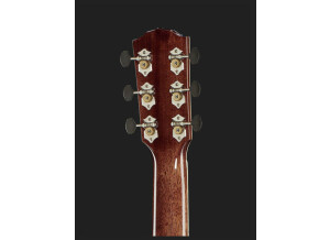 Fender PM-3 Deluxe Triple-0 (19364)