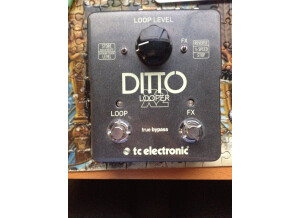 TC Electronic Ditto X2 (29874)