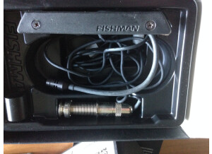 Fishman Rare Earth Blend (70397)