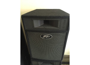 Peavey Pro 15 (87905)