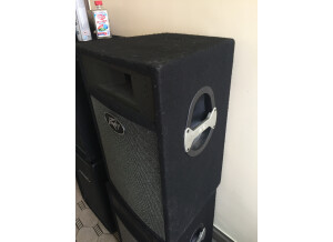 Peavey Pro 15 (15690)