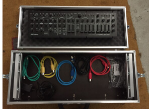 Roland SYSTEM-1m (5623)