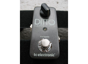 TC Electronic Ditto Looper (95391)