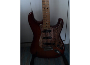 Fender American Standard Stratocaster [2008-2012] (31910)