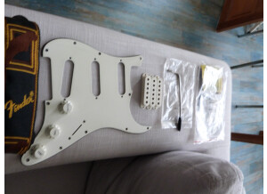 Fender American Standard Stratocaster [2008-2012] (29274)