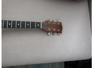 Gibson The Paul (71161)