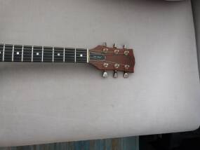 Gibson The Paul