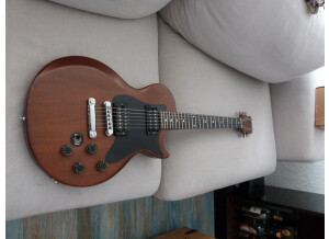 Gibson The Paul (94397)