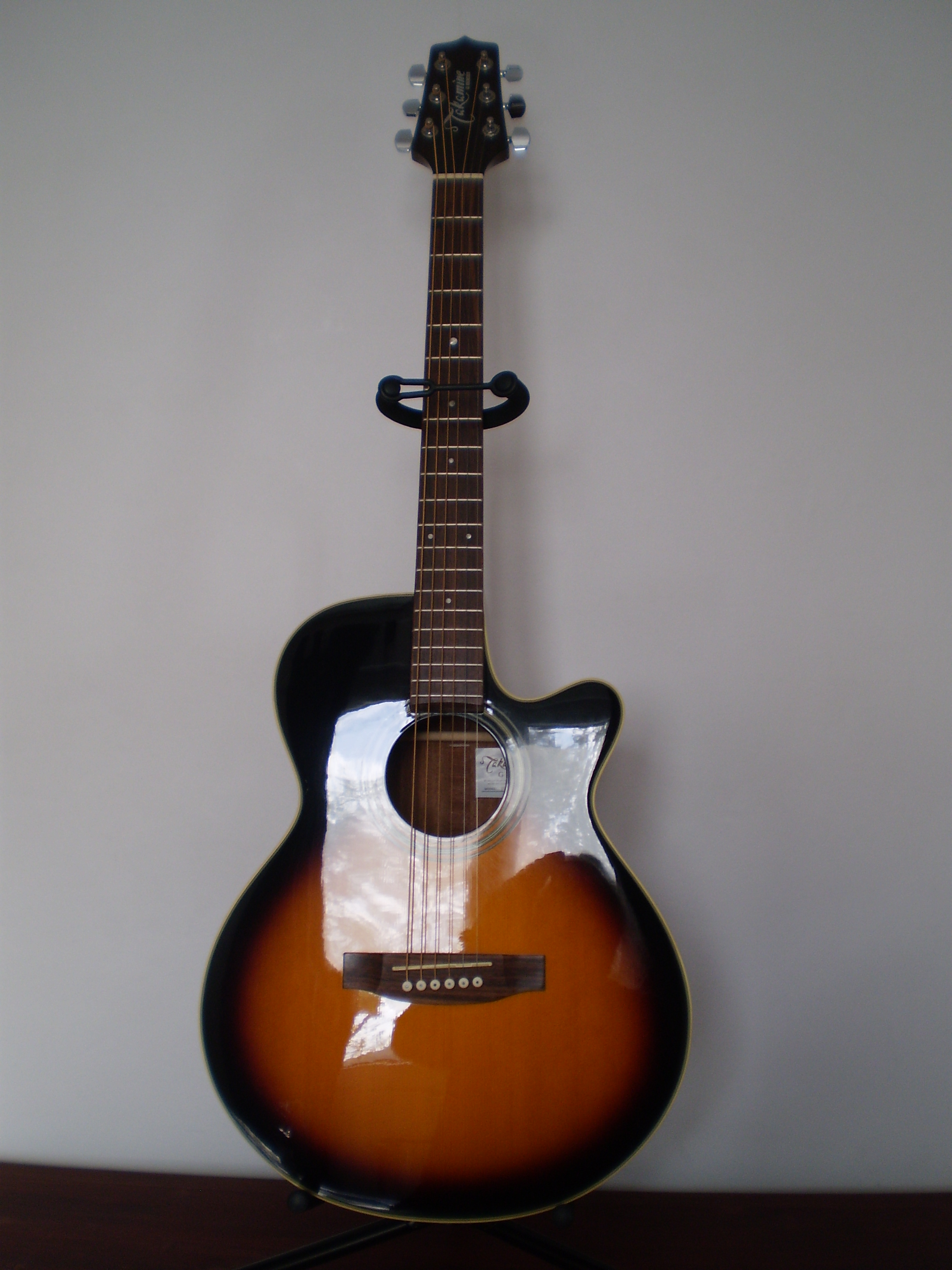 Takamine EG260C