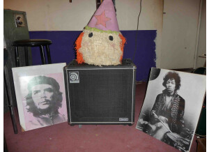 Ampeg SVT-15E (40537)