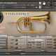 Chris Hein Horns Compact  Chris Hein Horns Compact
