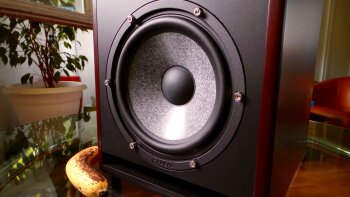 Focal Trio6 Be : Trio6 Be 3 Focal Trio6 Be : Trio6 Be 3