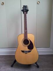 VIG Guitars Mistral V10E