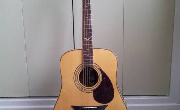 VIG Guitars Mistral V10E