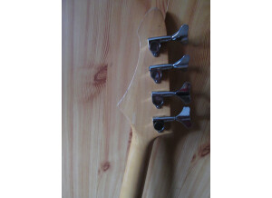 Aria Pro II the cat bass series (60544)