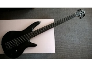Ibanez GWB35 (96359)