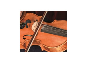 Micro instrument VL21 pour violon et altos