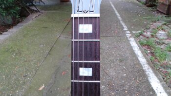 Gibson SG Special 2016 T : Photos SG Special 2016 5 Gibson SG Special 2016 T : Photos SG Special 2016 5