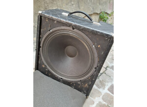 Polytone Mini Brute (820)