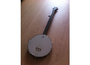 Gretsch G9450 "Dixie" 5-String Open Back Banjo (20080)