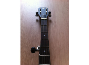 Gretsch G9450 "Dixie" 5-String Open Back Banjo (92881)