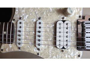 Fender Hot Rodded American Lone Star Stratocaster (89215)