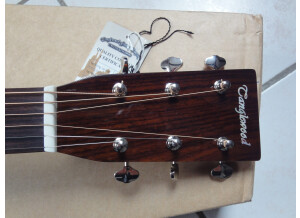 Tanglewood TW40 D AN E (19806)