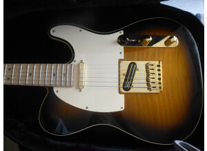 Fender Richie Kotzen Telecaster [2013-Current] (97777)