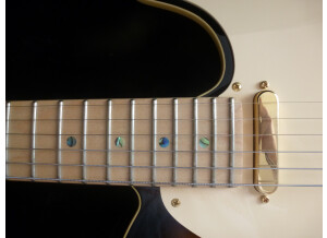 Fender Richie Kotzen Telecaster [2013-Current] (19747)
