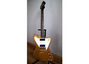 Eastwood Guitars Stormbird (5863)