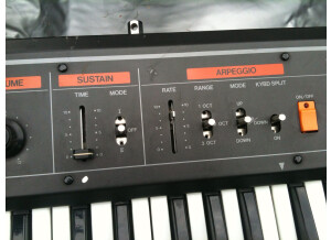 Roland EP-09 (64108)