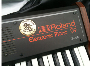Roland EP-09 (83872)
