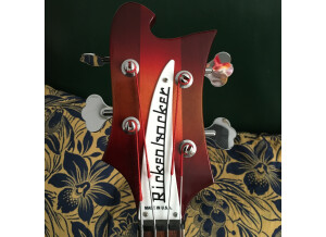 Rickenbacker 4003 (97241)