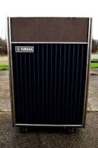 Yamaha RA 100
