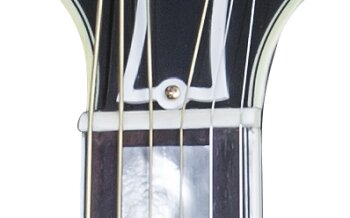 SJ2MORNH1 FRETBOARD PANEL 03 SJ2MORNH1 FRETBOARD PANEL 03