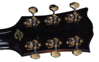 SJ2MORNH1 FRETBOARD PANEL 02 SJ2MORNH1 FRETBOARD PANEL 02