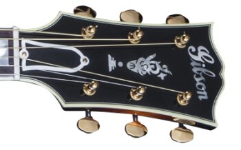 SJ2MORNH1 FRETBOARD PANEL 01 SJ2MORNH1 FRETBOARD PANEL 01