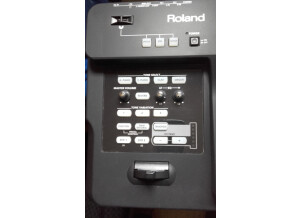 Roland RD-64 (7149)