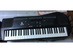 Roland E-16 (70526)