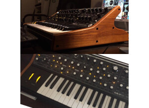 Moog Music SUB 37 (61175)