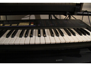 Korg Delta (11534)