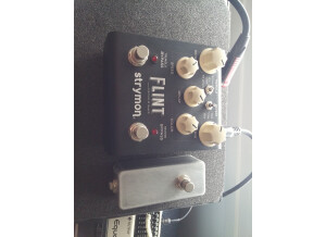Strymon Flint (9743)