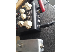 Strymon Flint (38614)