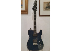 Fender télécaster customshop dimarzio set neck 2 (Copier)