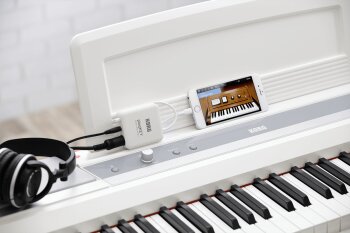 RKO PLUGKEY WH 6 B RKO PLUGKEY WH 6 B