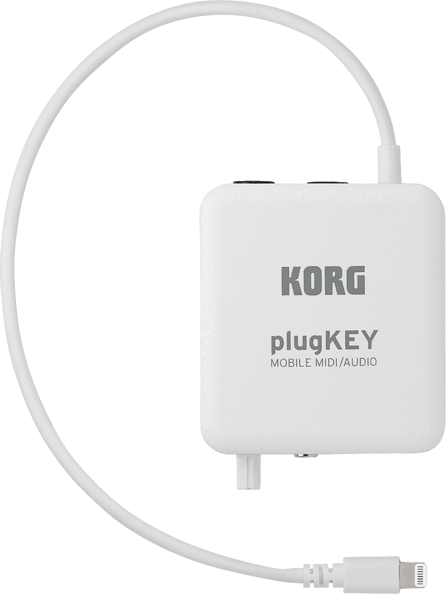 RKO PLUGKEY WH 4 B