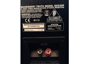 Behringer Truth B2030P (80399)