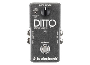 Ditto looper stereo front