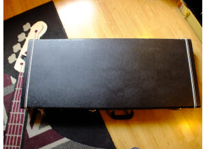 Gator Cases GW-Extreme - Extreme Electric Guitar Deluxe Wood Case (23633)